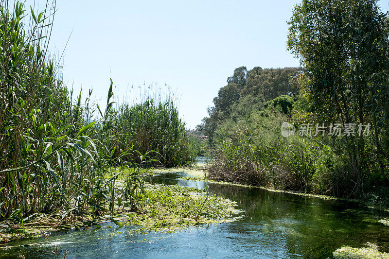 阿兹马克河，Akyaka, Mugla，火鸡